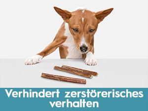 ochsenziemer für hunde groß