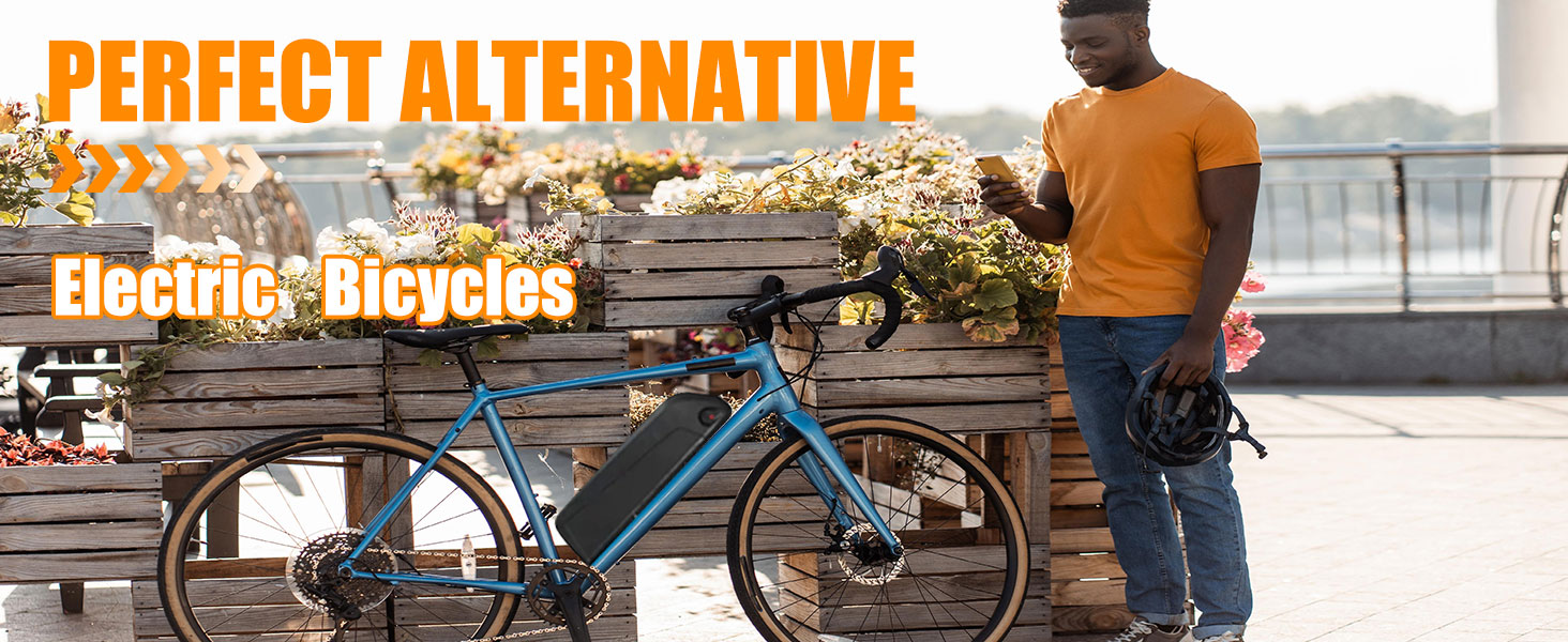 Electirc Bike Battery 48V 36V 52V 10AH 15AH 20AH