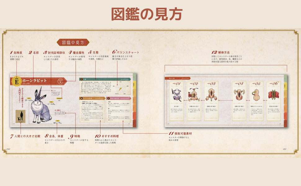 モンスター解体図鑑 モンスター 異世界 ダンジョン飯 幻獣 モンスターデザイン 人外 ファンタジー クリエイター ドラゴンの飼い方 解剖図 解剖学 幻獣生態骨格図 幻想世界 クリーチャー デッサン 