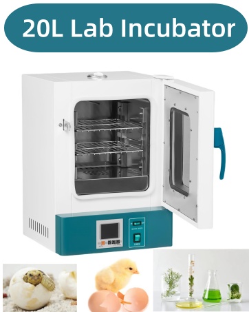 ミニインキュベータ 卵インキュベーター 卵用インキュベーター ミニデジタル卵