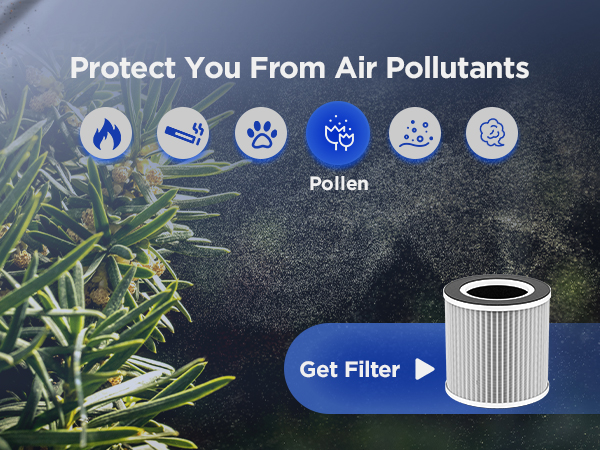 air purifier for allergies