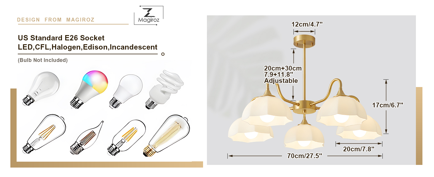 5 Light Modern Gold Chandelier