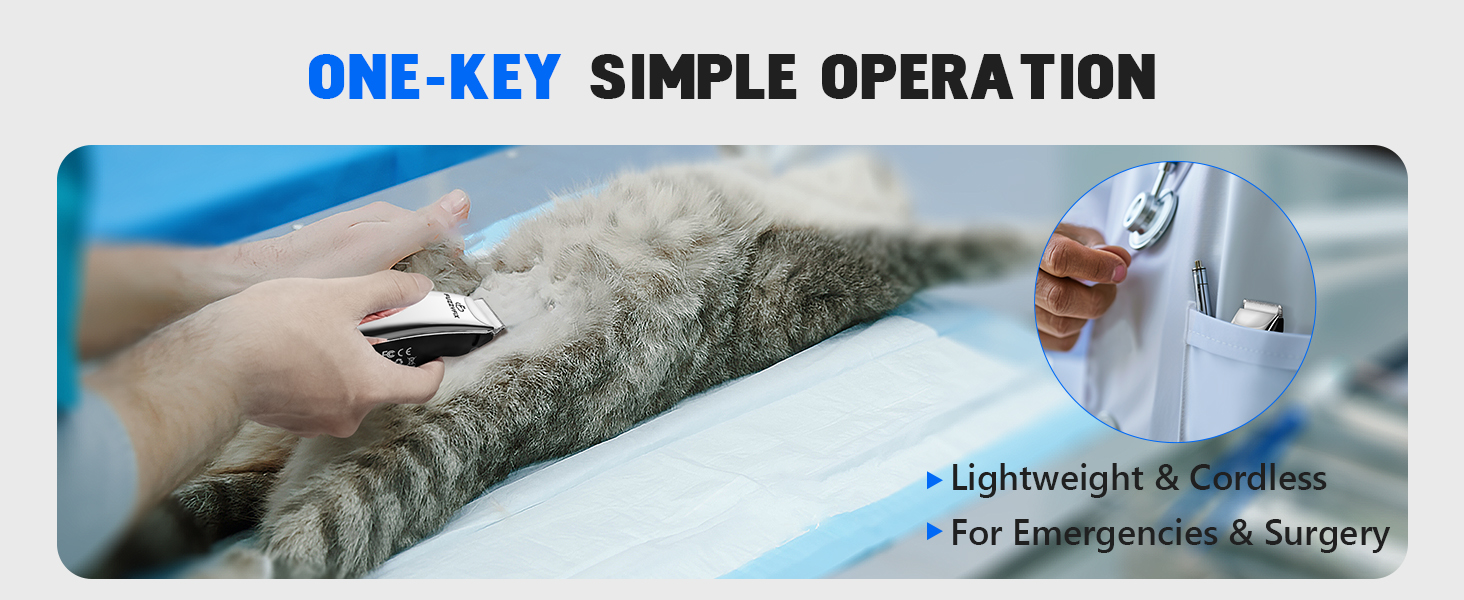 cat clippers