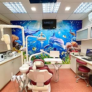 Undersea World  Wall Murals