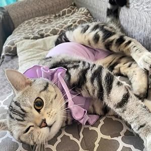 cat recovery suit