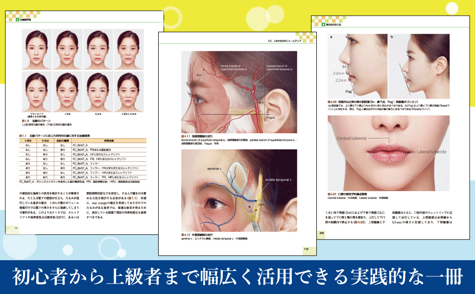 解剖から学ぶヒアルロン酸注入療法 解剖から学ぶヒアルロン酸注入療法/古山登隆 : bookfan