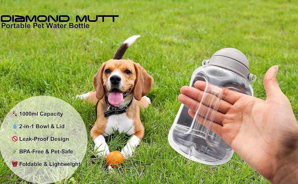 Image banner of dog and portable bottle