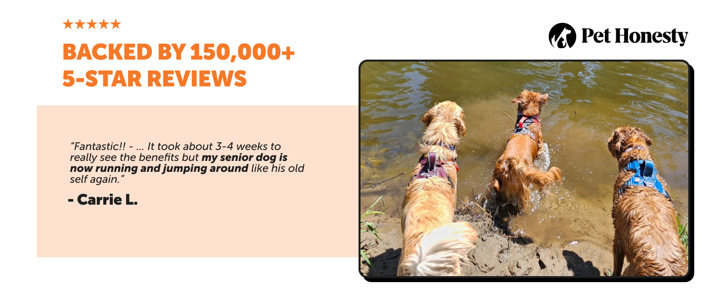 dog hip and joint supplement