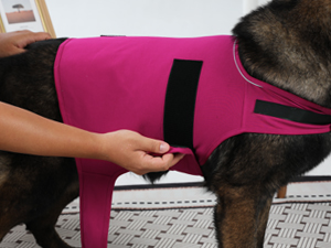 anti anxiety vest for dogs