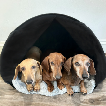 blackout curtains sleep mask masks women aid men pod sleeping mens nod eye loft bed tent natural pod