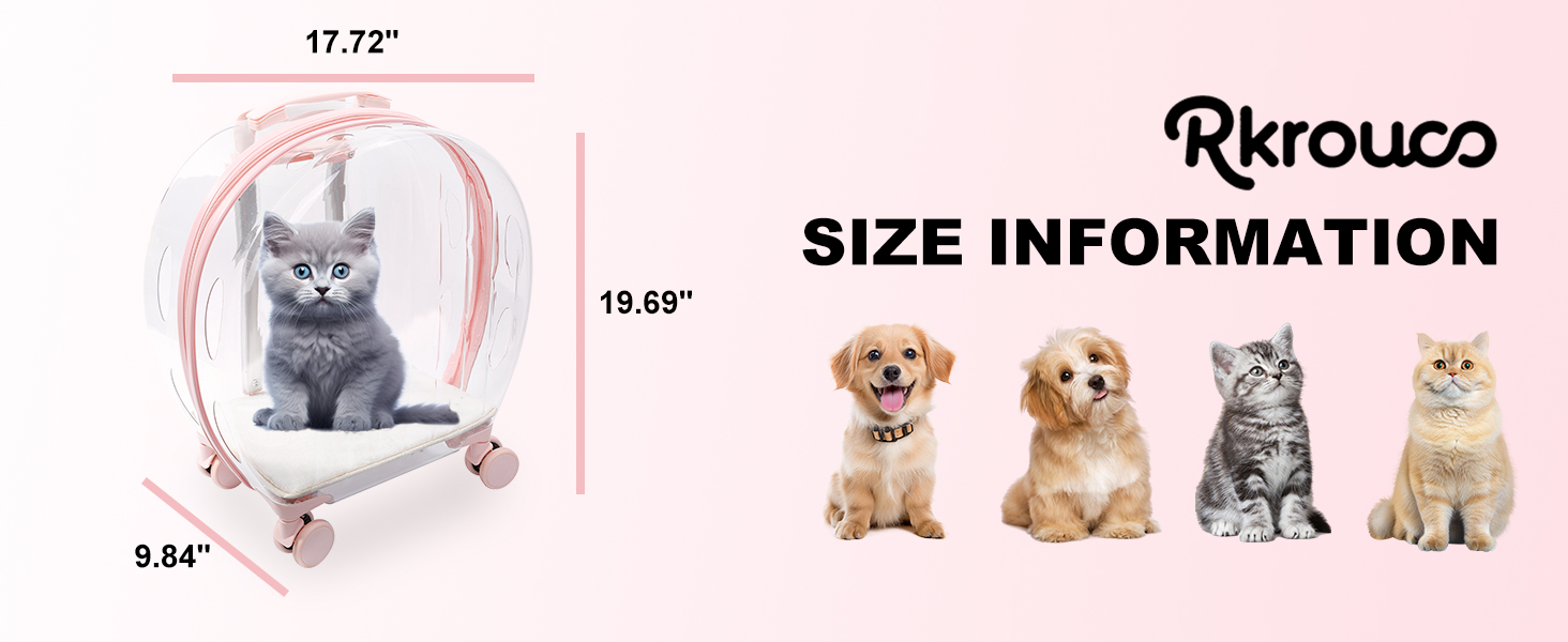 Clear-Carrier-for-Pets