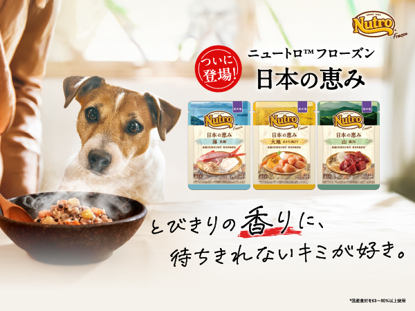 とろろ犬　エメラルド Dogsalon&Hotelとろろ《宮崎市》 (@dogsalon_tororo) · Miyazaki