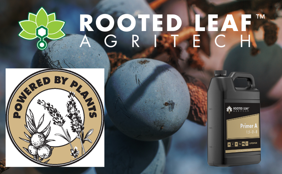 Rooted Leaf Agritech Primer A CarbonBased Nitrogen