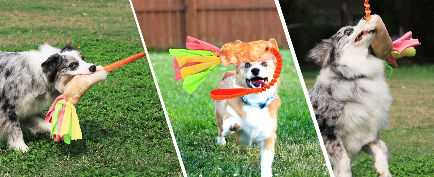 Bungee Tug of War Rope Toys with Squeaky Sound for Exercise Interactive Play Games