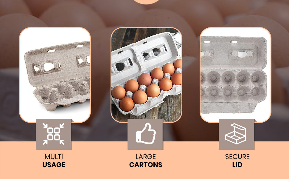 Printed Natural Pulp Egg Cartons Holds Up to Twelve Eggs