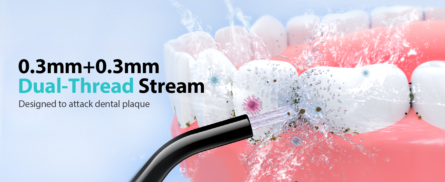 water dental flosser pick for teeth