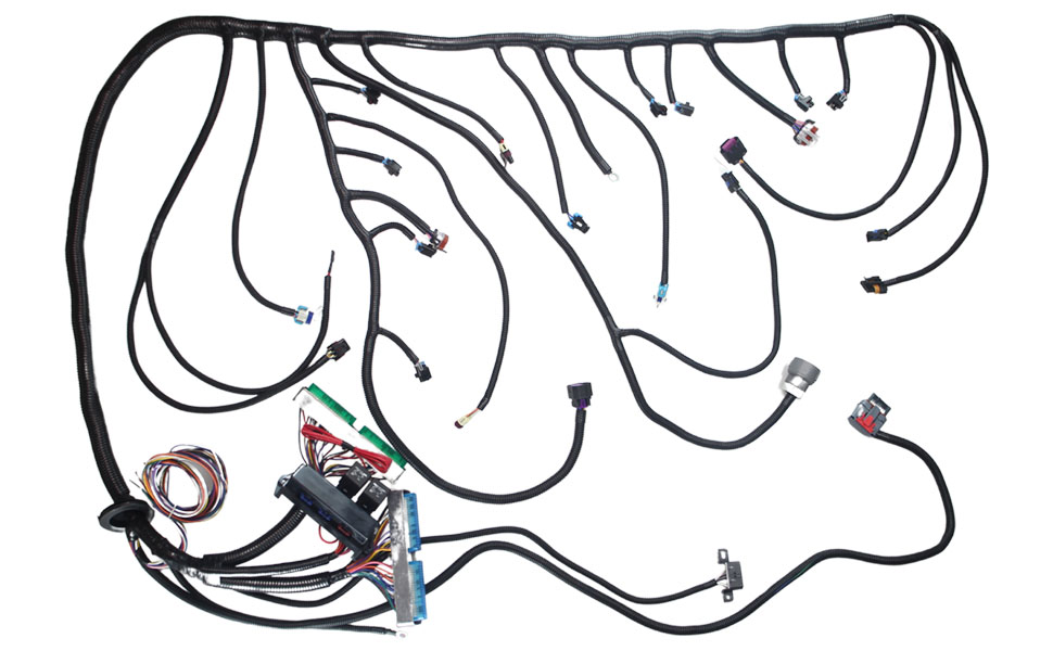 Amazon.com: PPNZQAUT LS Standalone Wiring Harness 4L60E DBW | LS3 Swap