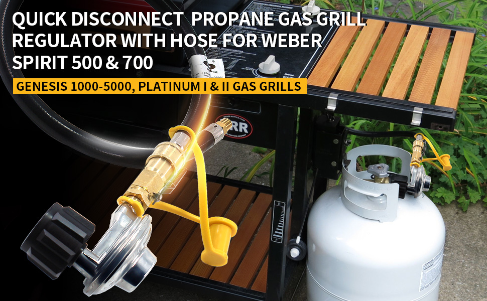 MCAMPAS Quick Disconnect Hose and Regulator Kit Replacment