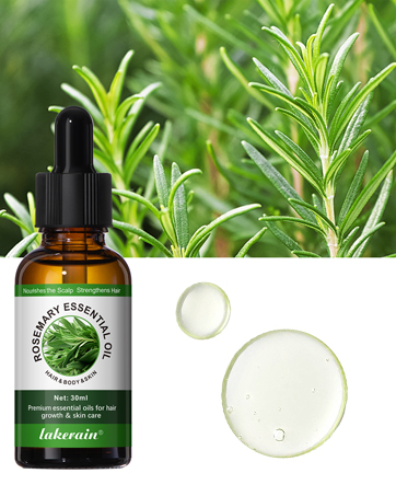 rosemary oil for hair growth mielle