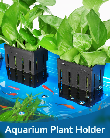 Aquarium Plant Holder