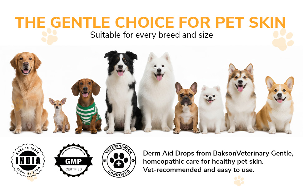 Large manufacture image 6