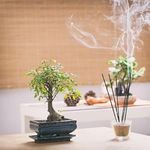 Small manufacture image 6