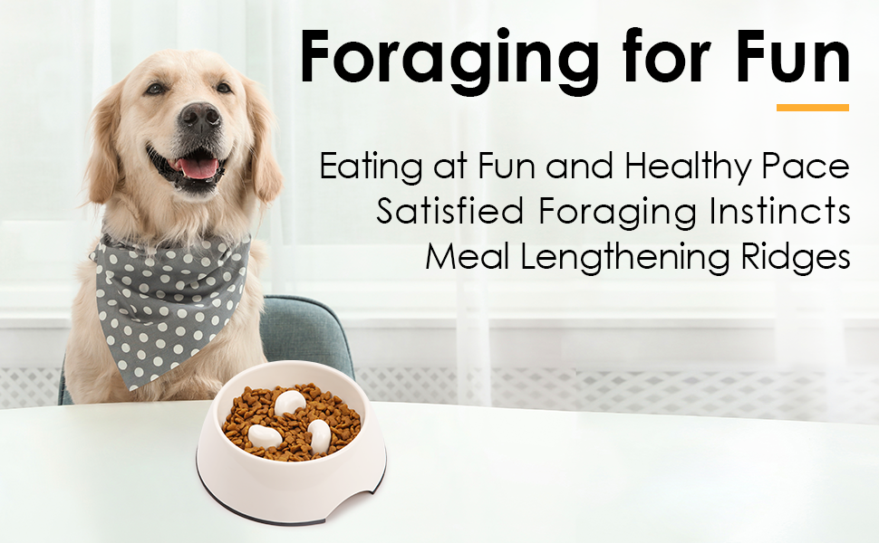 Super Design Dog Cat Slow Feeder Bowl Slow Eating Bowl