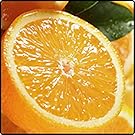 Hydrating Lip Oil
