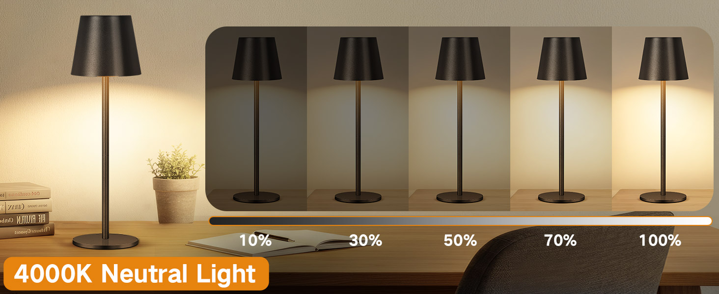Battery Operated Table Lamp