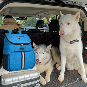 Dog Travel Bag Backpack
