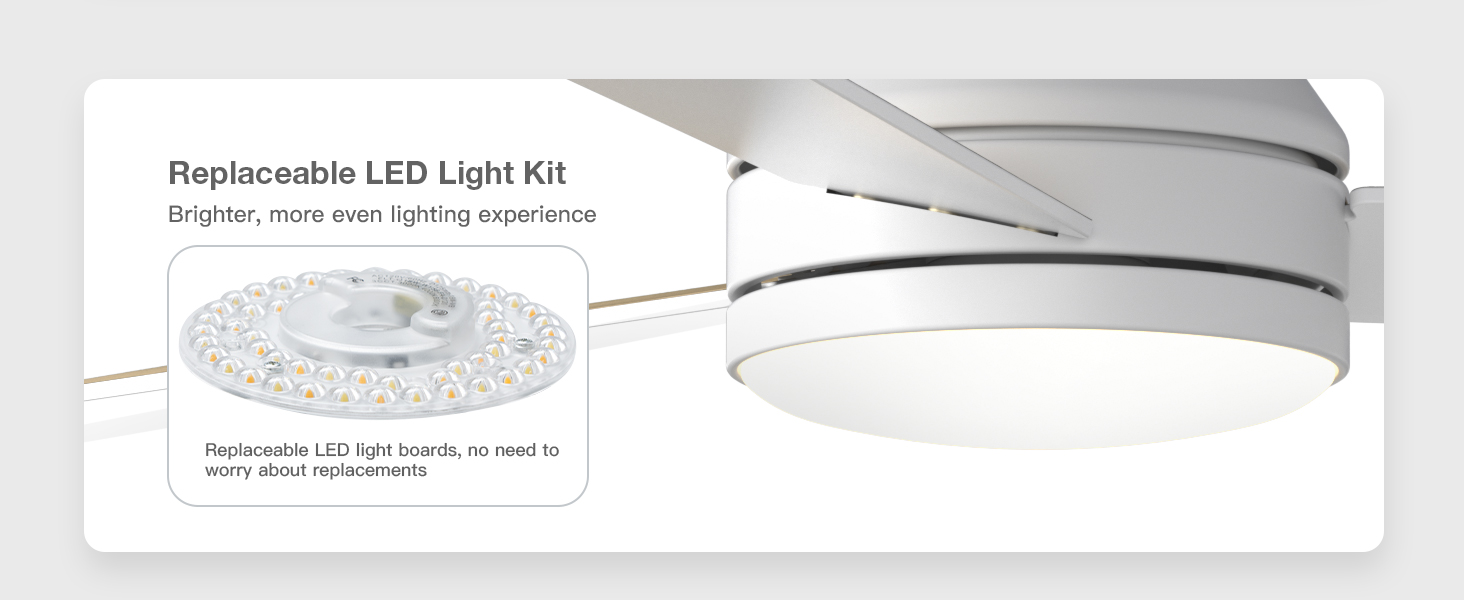 Replacable LED Light