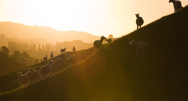 Large manufacture image 2