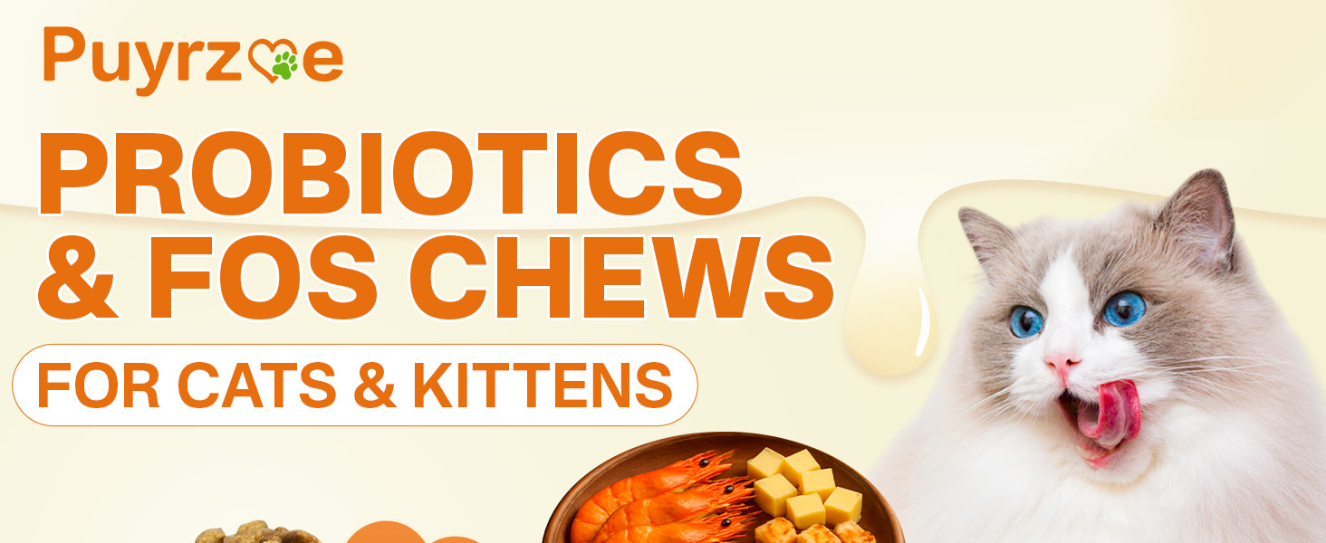 cat probiotic