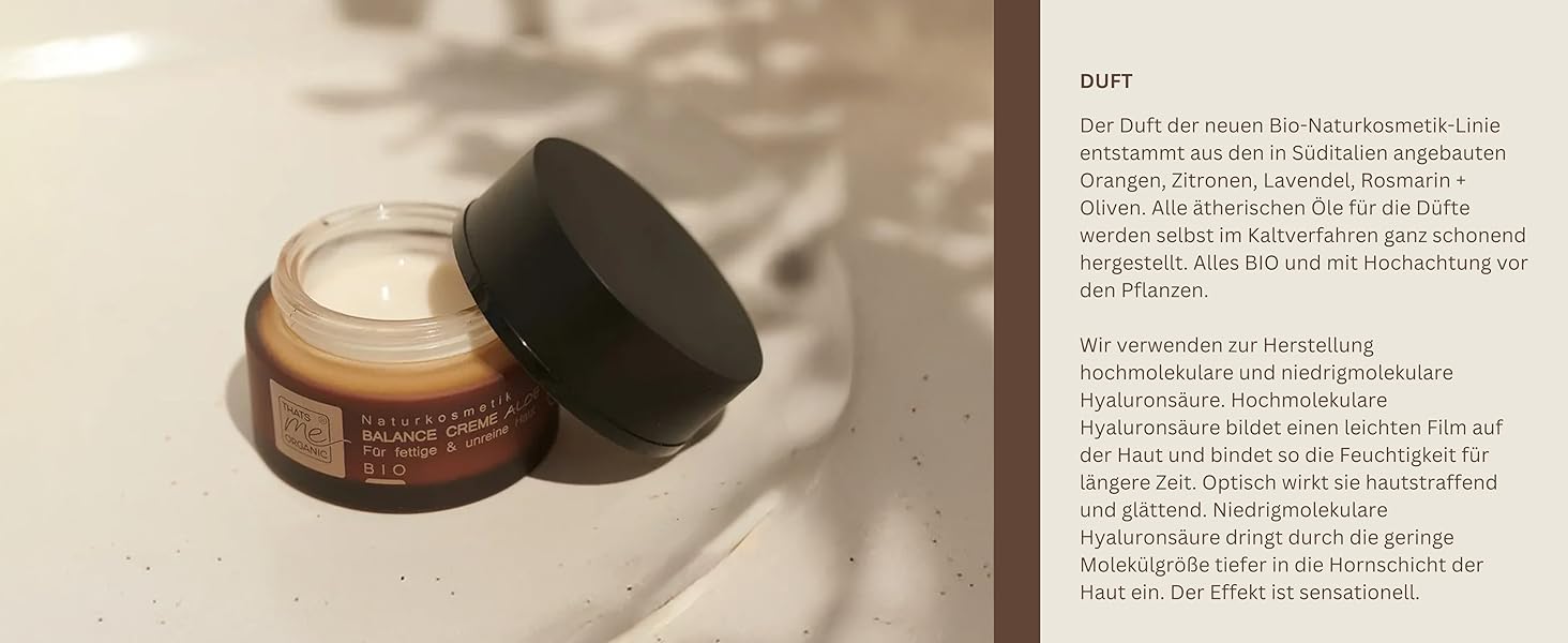 der Face Shop - - Die Karosseriewerkstatt