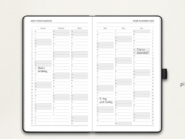 Amazon.com : BEZEND 2025 Planner Daily Weekly & Monthly 8.5