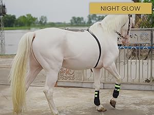 horse reflective boots , night glow horse boots