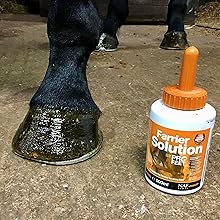 Small manufacture image 4