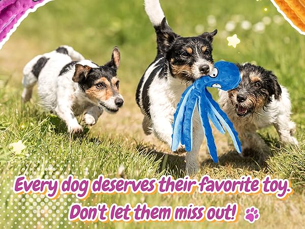 Dog Toys