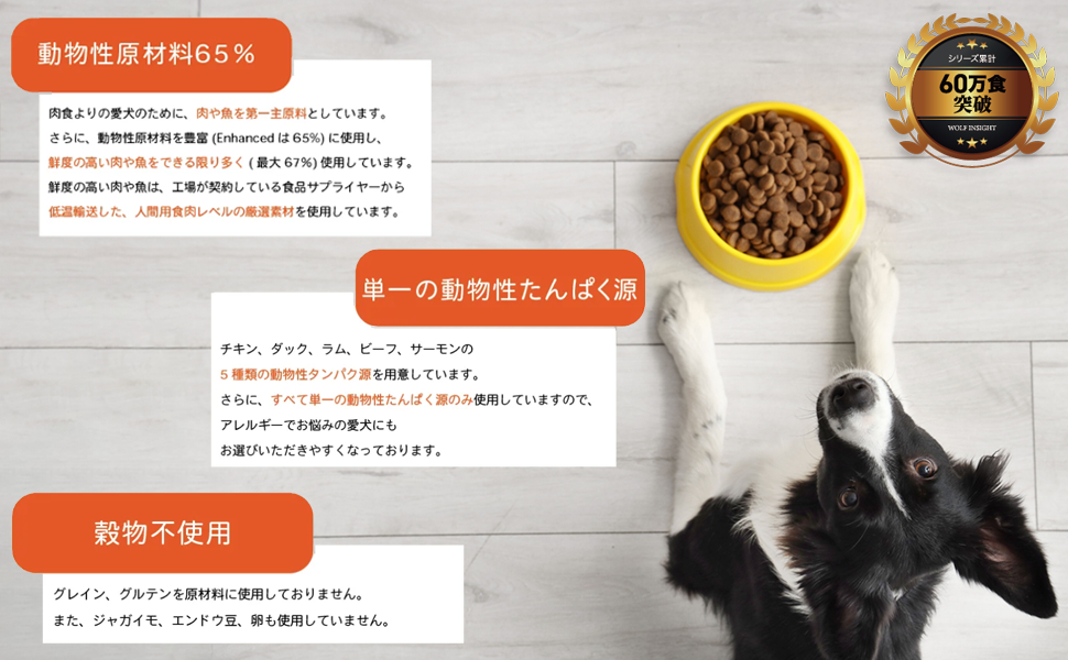 WOLF INSIGHT ラム 成犬用 ドッグフード 6kgx2袋セット販売 Amazon.co.jp: 【スーパーフード配合】ウルフインサイト