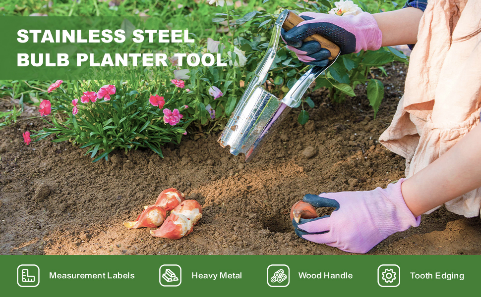 Dewayna Bulb Planter Tool, 4 Inches Depth Mark Hand Bulb