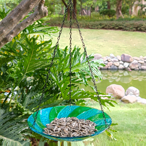 11 Inch Hanging Bird Feeder Outdoor Glass Bowl Bird Bath