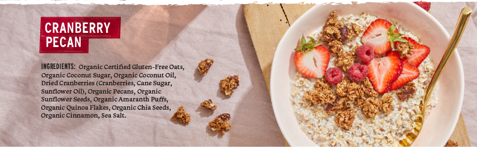 cranberry pecan granola, gluten-free granola, organic oats, healthy granola, dried cranberry