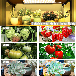 Lámpara de crecimiento para plantas