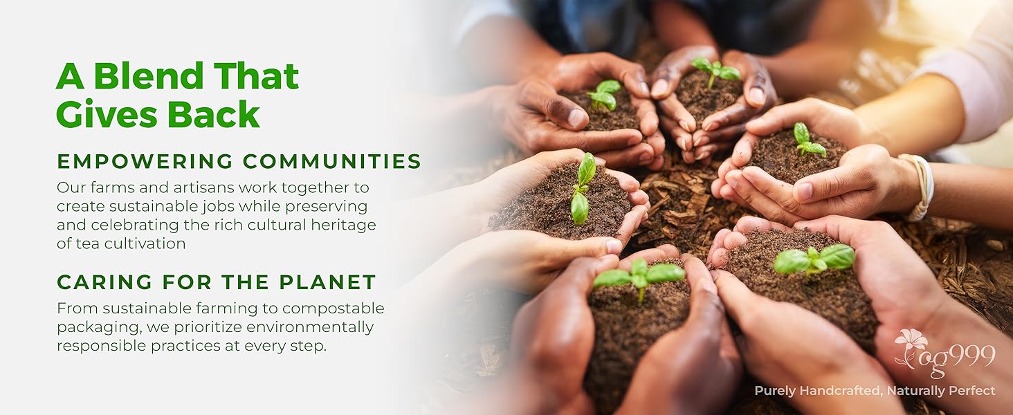 20 Tea Bags super moringa herbal tea