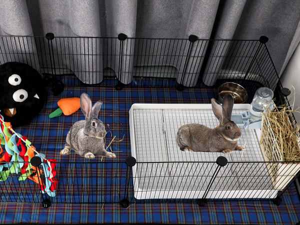 Amazon.com : FHTONGE Extra Large Rabbit Litter Box with