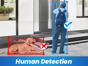 Human Detection