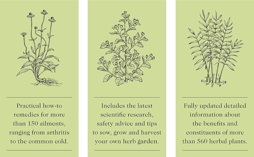 Encyclopedia of Herbal Medicine New Edition 560 Herbs and Remedies for