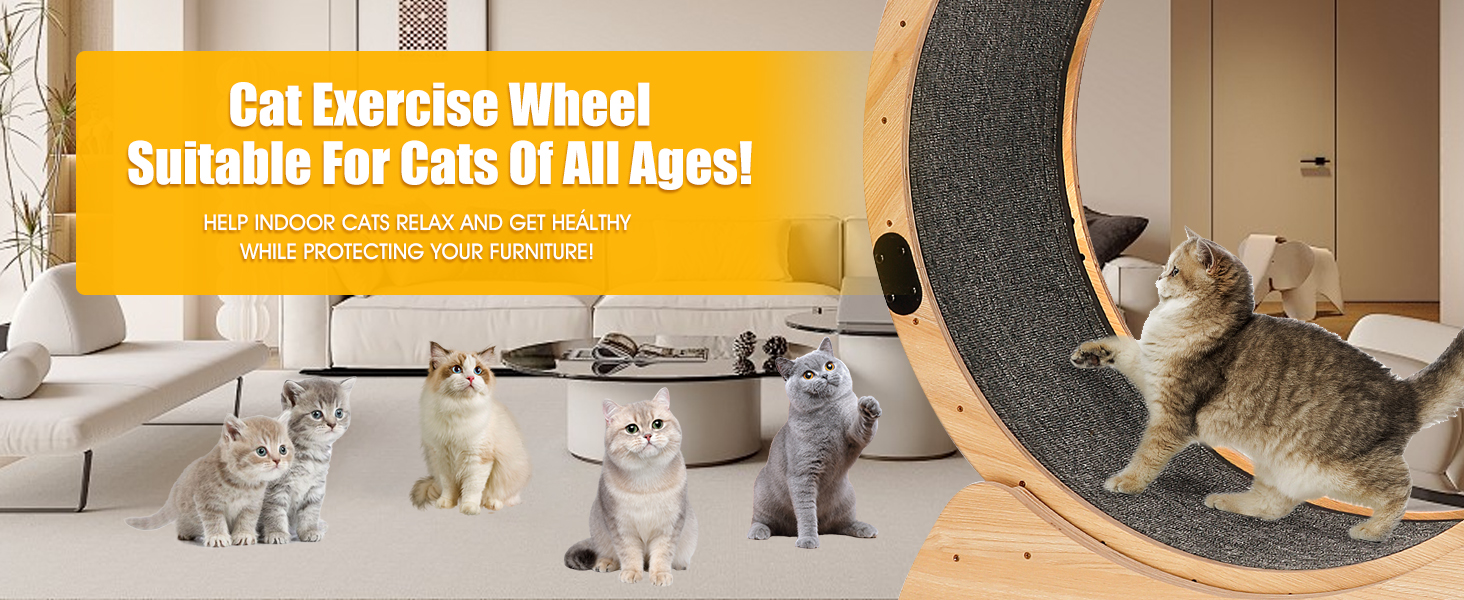 Cat Wheel, Cat Exercise Wheel