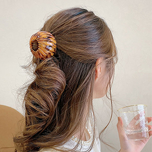 magische haarspange vogelnest