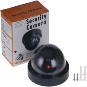 Fake security cam